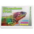 Colourful Eraser